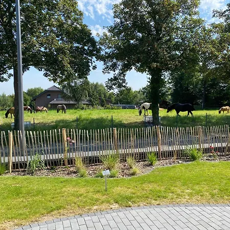 'bb43' - 70qm Mit Terrasse Und Kleinem Garten Am Rande Der Eifel *